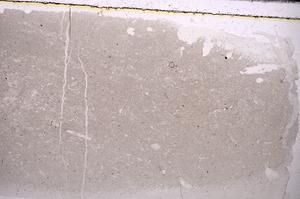 Plane Polarized, E43726