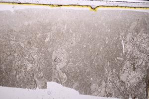 Plane Polarized, E43731