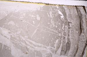 Plane Polarized, E43735