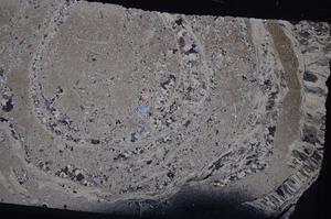 Cross Polarized, E43738