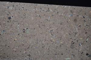 Cross Polarized, E43740