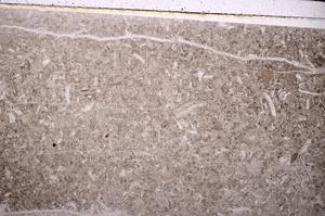 Plane Polarized, E43740