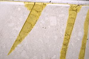 Plane Polarized, E43763