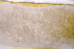 Plane Polarized, E43764