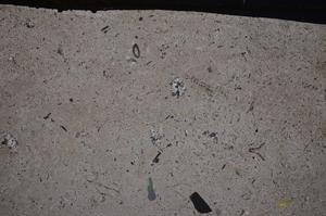 Cross Polarized, E43801