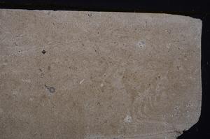 Cross Polarized, E43806