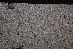 Cross Polarized, E43813