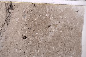 Plane Polarized, E43816