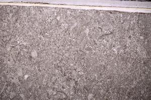 Plane Polarized, E43837