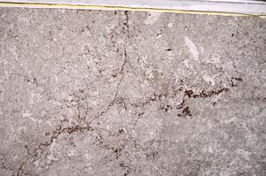 Plane Polarized, E43839/A