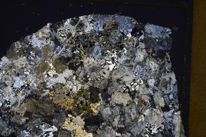 Cross Polarized, E43846