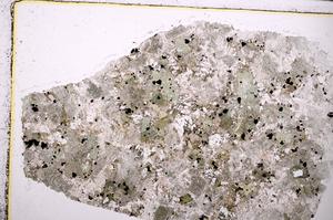 Plane Polarized, E43853