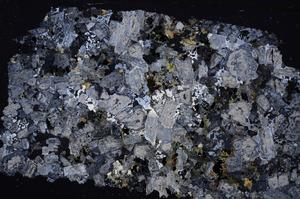 Cross Polarized, E43854