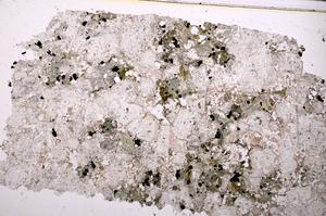 Plane Polarized, E43854