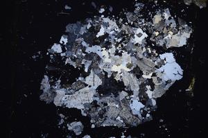 Cross Polarized, E43867