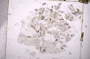 Plane Polarized, E43867