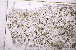 Plane Polarized, E43870