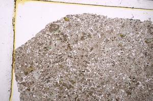 Plane Polarized, E43878