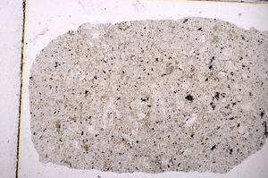 Plane Polarized, E43881