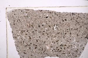 Plane Polarized, E43882