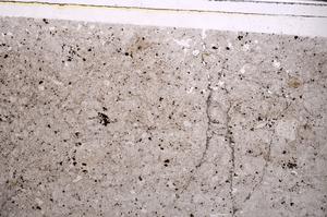 Plane Polarized, E43910