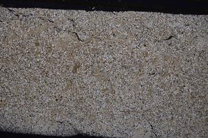 Cross Polarized, E43960