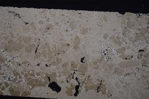 Cross Polarized, E43995