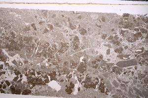 Plane Polarized, E43995