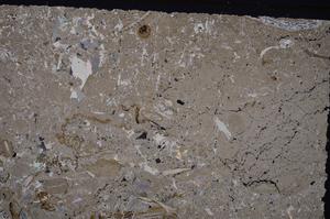 Cross Polarized, E43999