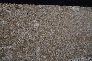 Cross Polarized, E44009