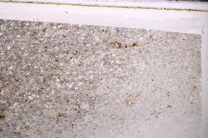 Plane Polarized, E44029