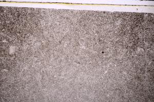 Plane Polarized, E44082