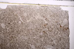 Plane Polarized, E44102