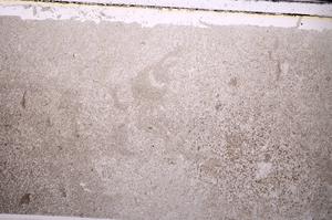 Plane Polarized, E44121