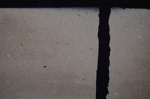 Cross Polarized, E44122