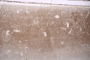 Plane Polarized, E44124