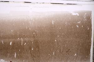 Plane Polarized, E44126