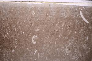 Plane Polarized, E44129