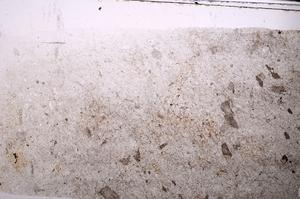 Plane Polarized, E44183