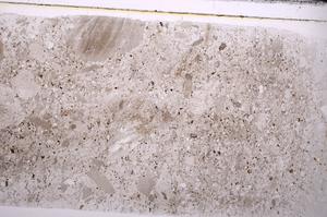 Plane Polarized, E44199