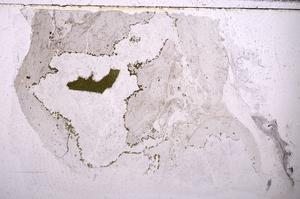 Plane Polarized, E44238/A