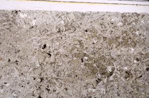 Plane Polarized, E44256