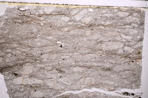 Plane Polarized, E44263