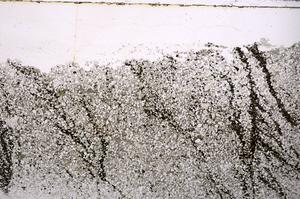 Plane Polarized, E44275