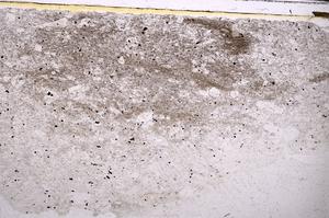 Plane Polarized, E44305