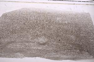 Plane Polarized, E44306