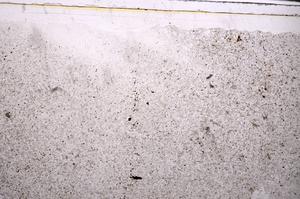 Plane Polarized, E44308