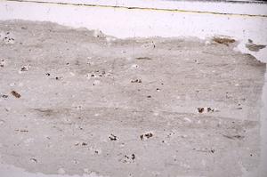 Plane Polarized, E44311