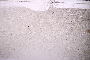 Plane Polarized, E44333