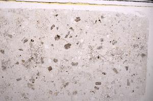 Plane Polarized, E44386